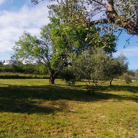 S&M Camping Sveti Filip i Jakov Exterior foto