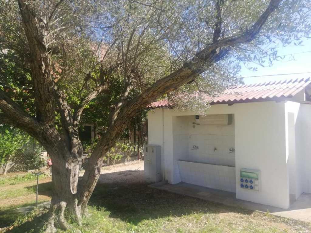 S&M Camping Sveti Filip i Jakov Exterior foto