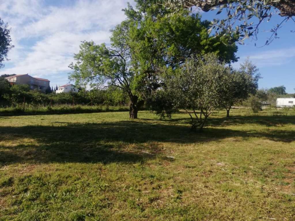 S&M Camping Sveti Filip i Jakov Exterior foto