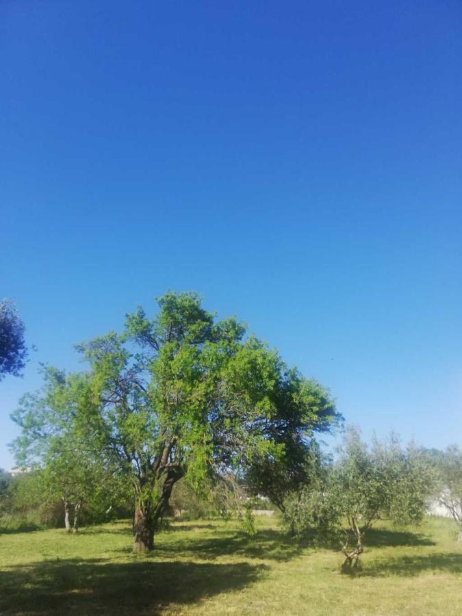 S&M Camping Sveti Filip i Jakov Exterior foto