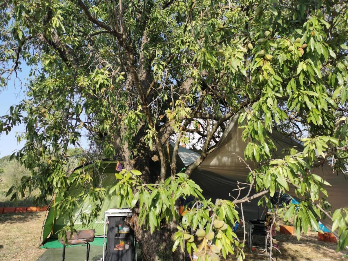 S&M Camping Sveti Filip i Jakov Exterior foto